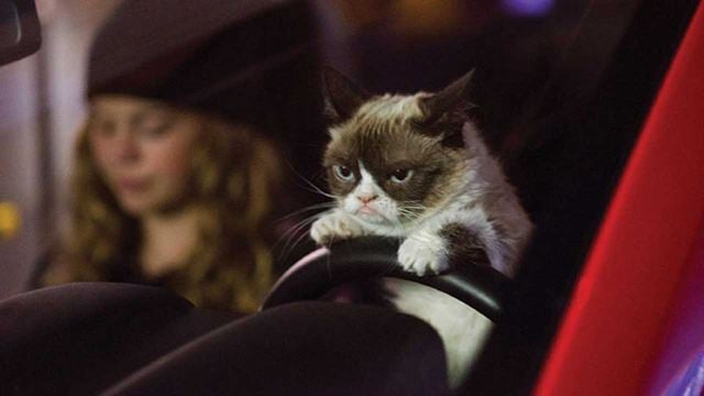Recordamos 'Grumpy Cat’s Worst Christmas Ever', la película protagonizada por la gata más famosa de Internet