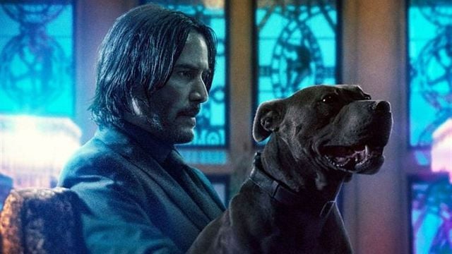 La escena del tiroteo acuático en 'John Wick: Capítulo 3 - Parabellum' es más realista de lo que crees noticias imagen