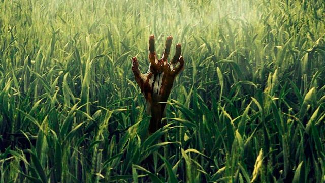 Netflix inaugura Sitges 2019: 'En la hierba alta', de Stephen King, abrirá el festival noticias imagen