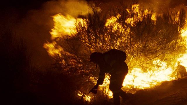 Oliver Laxe ('Lo que arde'): "Al filmar el fuego tuvimos la sensación de estar viendo imágenes jamás capturadas antes” noticias imagen