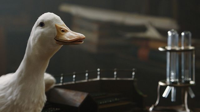 'Las aventuras del doctor Dolittle': Te presentamos en EXCLUSIVA al divertido pato tontorrón Dab-Dab noticias imagen