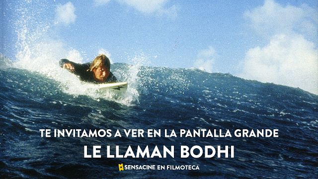 ¡Te invitamos a ver 'LE LLAMAN BODHI' (2001) de Kathryn Bigelow, en pantalla grande en la Filmoteca! noticias imagen