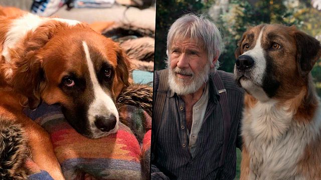 'La llamada de lo salvaje': El perro que sirvió de modelo para Buck tiene cuenta de Instagram noticias imagen