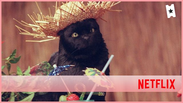 'Las escalofriantes aventuras de Sabrina': El Salem original también aparece con el mismo actor de doblaje español que 'Sabrina, cosas de brujas' noticias imagen