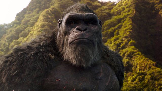 El MonsterVerse podría continuar: 'Son of Kong' suena como la secuela de 'Godzilla vs Kong' noticias imagen