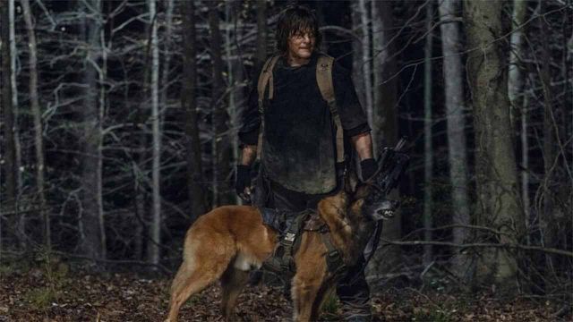 'The Walking Dead' amenaza con la muerte del perro de Daryl en el 11x04 noticias imagen