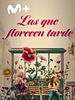 Cartel de Las que florecen tarde