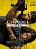 Cartel de Citadel: Honey Bunny