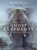 Cartel de Los elefantes fantasma de Angola