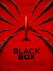 Cartel de Black Box: Vuelo 298
