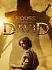 Cartel de La casa de David