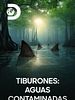Cartel de Tiburones: aguas contaminadas