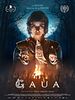 Cartel de Gaua