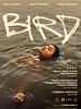 Cartel de Bird