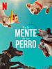 Cartel de En la mente de un perro