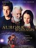 Cartel de Aurora Borealis