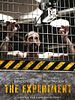 Cartel de The Experiment