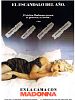 Cartel de En la cama con Madonna