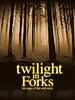 Cartel de Twilight in Forks