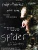 Cartel de Spider