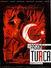 Cartel de La pasión turca