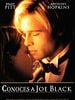 Cartel de ¿Conoces a Joe Black?
