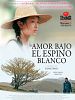 Cartel de Amor bajo el espino blanco