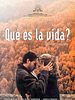 Cartel de ¿Qué es la vida?