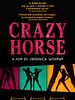 Cartel de Crazy horse