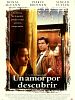 Cartel de Un amor por descubrir