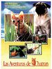 Cartel de Las aventuras de Chatran