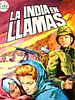 Cartel de La India en llamas