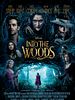 Cartel de Into The Woods