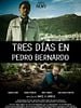 Cartel de Tres días en Pedro Bernardo