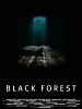 Cartel de Black Forest