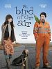 Cartel de A Bird of the Air