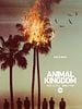 Cartel de Animal Kingdom