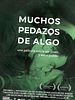 Cartel de Muchos pedazos de algo