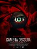 Cartel de Camera Obscura