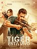 Cartel de Tiger está vivo