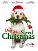 Cartel de El perro que salvó la Navidad