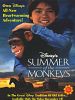 Cartel de El verano de los monos