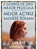 Cartel de Lady Bird