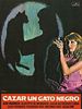 Cartel de Cazar un gato negro
