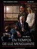 Cartel de En tiempos de luz menguante