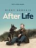 Cartel de After Life