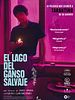 Cartel de El lago del ganso salvaje