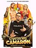 Cartel de Operación Camarón