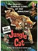 Cartel de Jungle Cat
