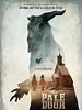 Cartel de The Pale Door